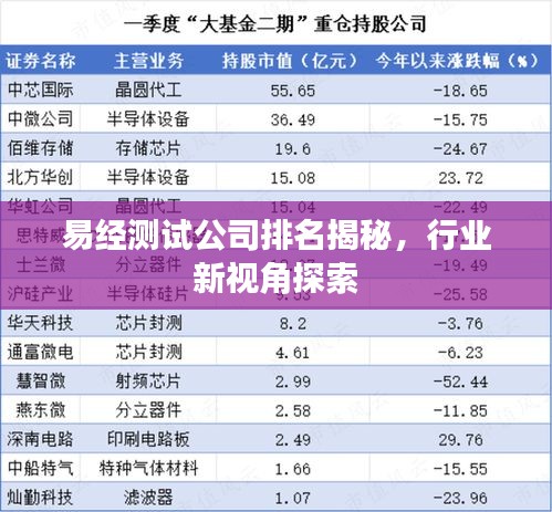 易經(jīng)測試公司排名揭秘，行業(yè)新視角探索