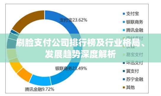 刷臉支付公司排行榜及行業(yè)格局、發(fā)展趨勢深度解析