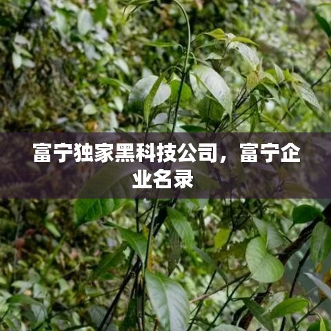 富寧獨(dú)家黑科技公司，富寧企業(yè)名錄 