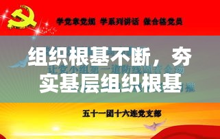 組織根基不斷，夯實基層組織根基 