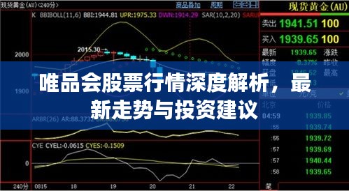 唯品會(huì)股票行情深度解析，最新走勢(shì)與投資建議