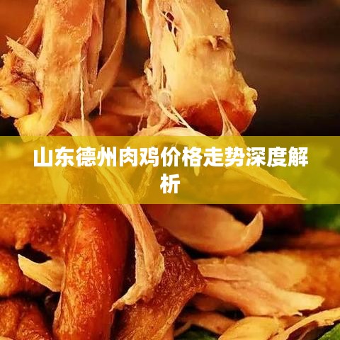 山東德州肉雞價格走勢深度解析