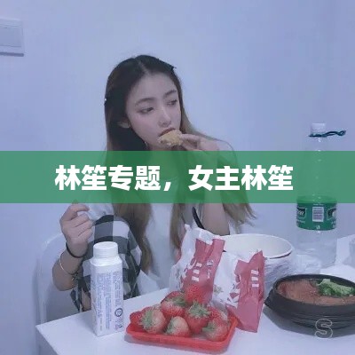 林笙專題，女主林笙 