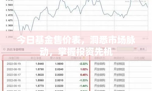 今日基金售價表，洞悉市場脈動，掌握投資先機