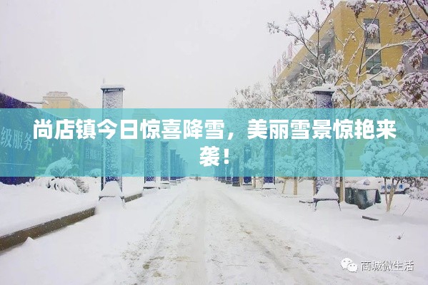 尚店鎮(zhèn)今日驚喜降雪，美麗雪景驚艷來襲！