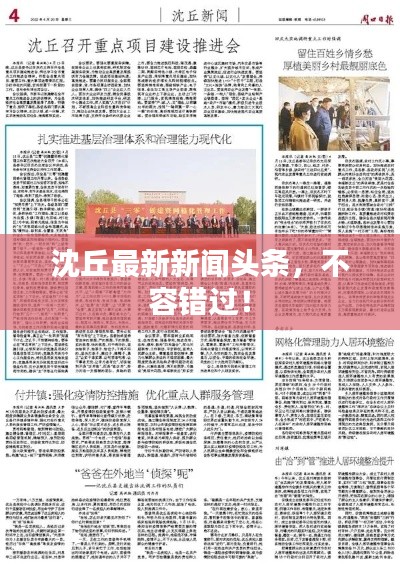 沈丘最新新聞頭條，不容錯過！