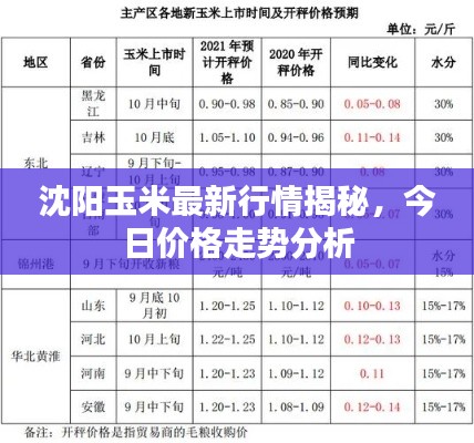 沈陽(yáng)玉米最新行情揭秘，今日價(jià)格走勢(shì)分析