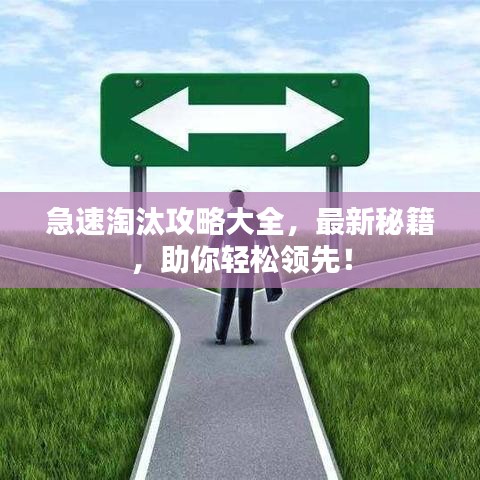 急速淘汰攻略大全，最新秘籍，助你輕松領(lǐng)先！