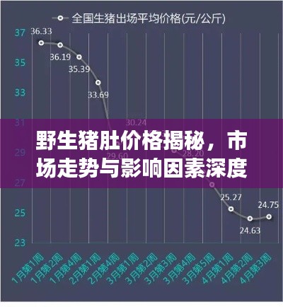 野生豬肚價格揭秘，市場走勢與影響因素深度解析