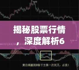 揭秘股票行情，深度解析600761走勢(shì)