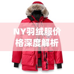 NY羽絨服價(jià)格深度解析，了解真實(shí)價(jià)格，選購更明智！