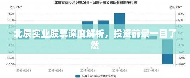 北辰實(shí)業(yè)股票深度解析，投資前景一目了然