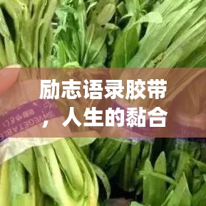 勵志語錄膠帶，人生的黏合劑，引領你走向成功之路