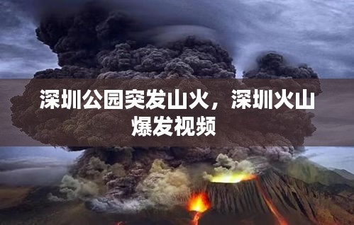 深圳公園突發(fā)山火，深圳火山爆發(fā)視頻 