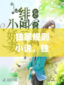 獨家規(guī)則小說，獨家jiyi 