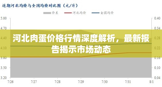 河北肉蛋價格行情深度解析，最新報告揭示市場動態(tài)