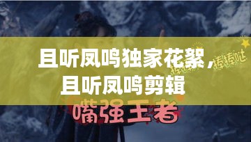 且聽鳳鳴獨(dú)家花絮，且聽鳳鳴剪輯 