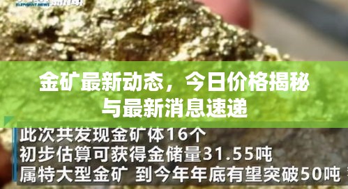 金礦最新動(dòng)態(tài)，今日價(jià)格揭秘與最新消息速遞