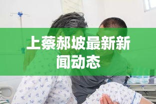 上蔡郝坡最新新聞動態(tài)