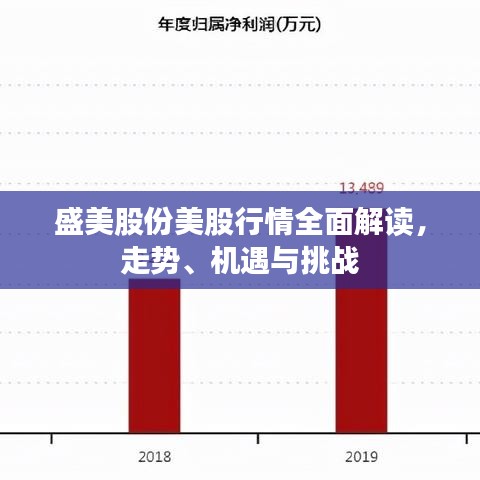 盛美股份美股行情全面解讀，走勢、機遇與挑戰(zhàn)