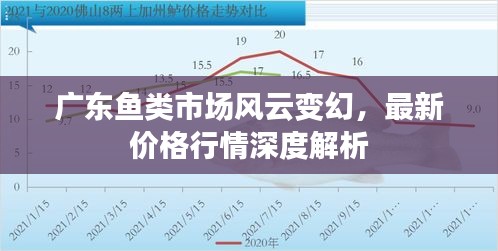 廣東魚類市場風(fēng)云變幻，最新價格行情深度解析