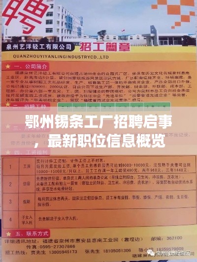 鄂州錫條工廠招聘啟事，最新職位信息概覽