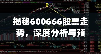 揭秘600666股票走勢，深度分析與預(yù)測