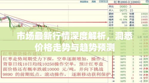 市場最新行情深度解析，洞悉價(jià)格走勢與趨勢預(yù)測