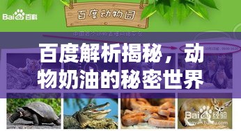 百度解析揭秘，動物奶油的秘密世界！