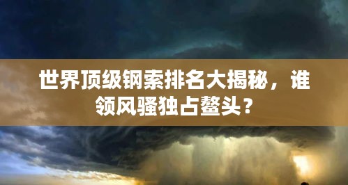 世界頂級(jí)鋼索排名大揭秘，誰(shuí)領(lǐng)風(fēng)騷獨(dú)占鰲頭？