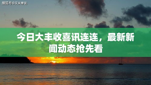 今日大豐收喜訊連連，最新新聞動(dòng)態(tài)搶先看