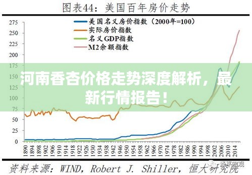 河南香杏價格走勢深度解析，最新行情報告！